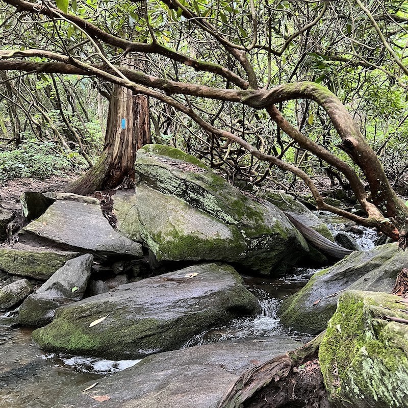 Rocky Stream